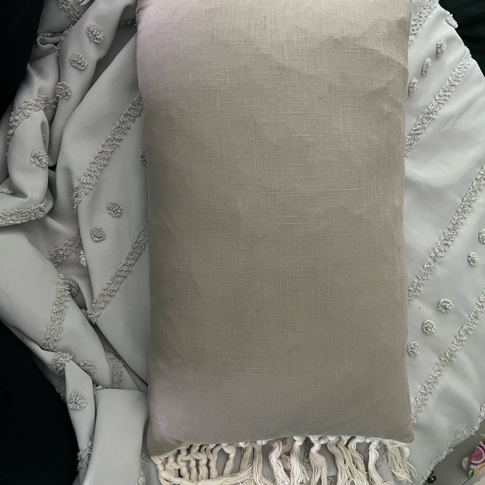 Elegant Cream Throw Pillow
